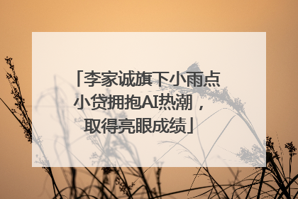李家诚旗下小雨点小贷拥抱AI热潮，取得亮眼成绩